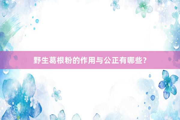 野生葛根粉的作用与公正有哪些？